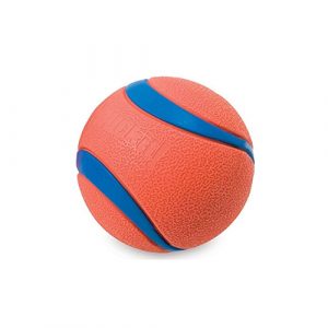 Chuckit! dog ball pet toy